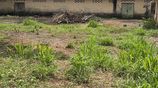 Land for Sale in Minneriya