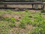Land for Sale in Minneriya