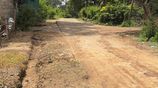 Land for Sale in Minneriya