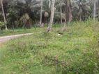 Commercial Land for Sale in Negambo (SP311)