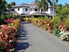 Commercial Land for Sale in Negombo ( With a Large House )