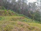 Commercial Land For Sale in Nuwara Eliya