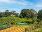Commercial Land For Sale in Nuwara Eliya