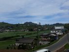 Commercial Land for Sale in Nuwara eliya