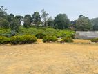 Commercial Land For Sale in Nuwara Eliya