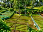 Commercial Land for Sale in Nuwara Eliya