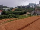 Commercial Land for Sale in Nuwara Eliya (SP705)