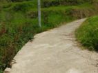 Commercial land for sale in Nuwaraeliya Abewela
