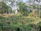 Commercial Land for Sale in Panadura