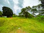 Commercial Land for Sale in Pannipitiya