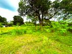 Commercial Land for Sale in Pannipitiya
