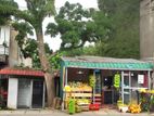 Commercial Land for Sale in Pannipitiya