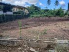 Commercial Land for Sale in Peliyagoda