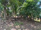 Commercial Land For Sale In Piliyandala Halpita