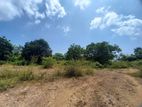 Commercial Land for Sale in Ranna – Kahandamodara, Tangalle (EM135RN)