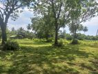 Commercial Land for Sale in Rekawa - Tangalle (C7-5274)
