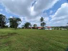 Commercial Land for Sale in Tangalle (C7-5277)