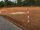 Commercial Land for Sale in Tangalle Rekawa