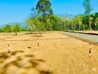 Commercial Land for Sale in Tangalle Rekawa