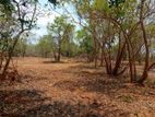 Commercial Land for Sale in Tangalle Rekawa