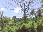 Commercial Land for Sale in Thalawathugoda