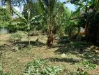 Commercial Land For Sale In Udawalawe