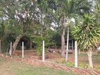Commercial Land for Sale in Wadduwa (near Galle Rd)
