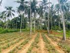 COMMERCIAL LAND FOR SALE IN WALIWERIYA (SP1080)