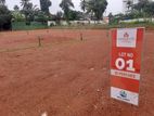 Commercial Land for Sale in Wattala