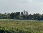 Commercial Land for Sale in Wattala