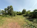 Commercial Land for Sale in Wattala