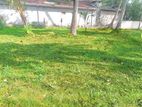 Commercial Land for Sale in Yakkala - S15