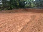 COMMERCIAL LAND FOR SALE IN YAKKALA (SP09)