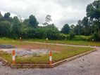 Commercial Land for sale Meepe