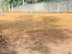 Commercial Land For Sale - Negombo