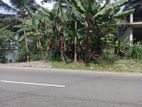 Commercial Land For Sale - Peradeniya