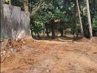 Commercial Land for Sale - Rajagiriya