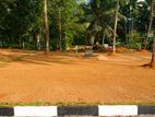 Commercial Land For Weragala