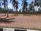 Commercial Land Plots For Sale In Dambadaniya Kurunegala 5 Road