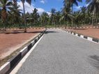 Commercial Land Plots For Sale In Dambadaniya Kurunegala Road