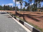 Commercial Land Plots For Sale In Dambadeniya 5 Main Road