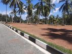 Commercial Land Plots for Sale in Kurunegala 5 Rd Dambadeniya