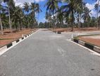 Commercial Land Plots For Sale In Kurunegala 5 Road Dambadeniya