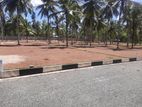 Commercial Land Plots For Sale In Kurunegala 5 Road Dambadeniya