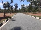 Commercial Land Plots For Sale In Kurunegala 5 Road Dambadeniya