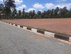 Commercial Land Plots for Sale Near to Kurunegala 5 Road Dambadeniya