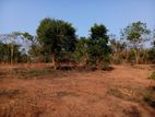 Commercial Land Plots in Thangalle Rekawa
