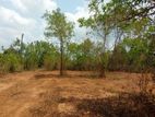 Commercial Land Plots Sale in Tangalle Rekawa