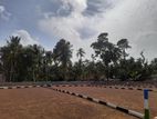 Commercial Land Plots Sale Moratuwa Gorakana M20