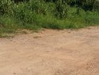 COMMERCIAL LANDS FOR SALE IN HOMAGAMA